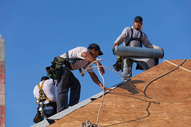 Quick and Trustworthy Emergency Roof Repair Services in Elizabeth, PA
