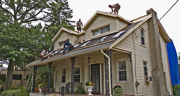 Best Local Roofing Companies  in Elizabeth, PA